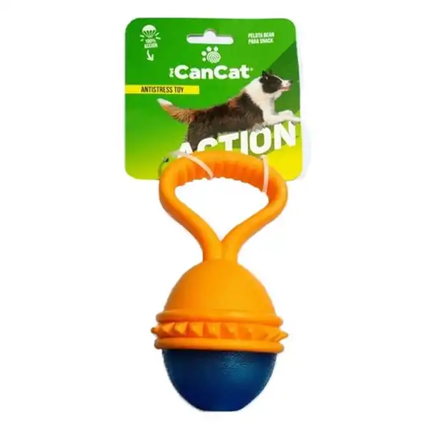 CAN CAT PELOTA BEAN PARA SNACK
