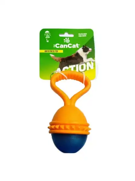 CAN CAT PELOTA BEAN PARA SNACK