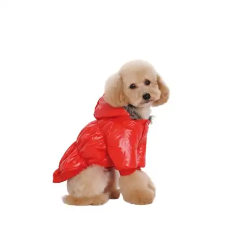 PER-ROS CAMPERA INFLABLE C/PIEL TALLE XL - 
