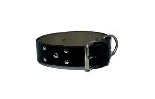 KIPPER COLLAR DE CUERO CON TACHAS Nº5