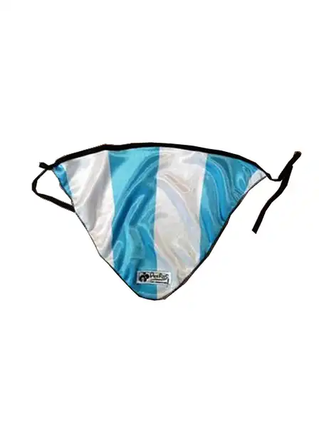 PER-ROS PAÑUELO ARGENTINA CHICO S