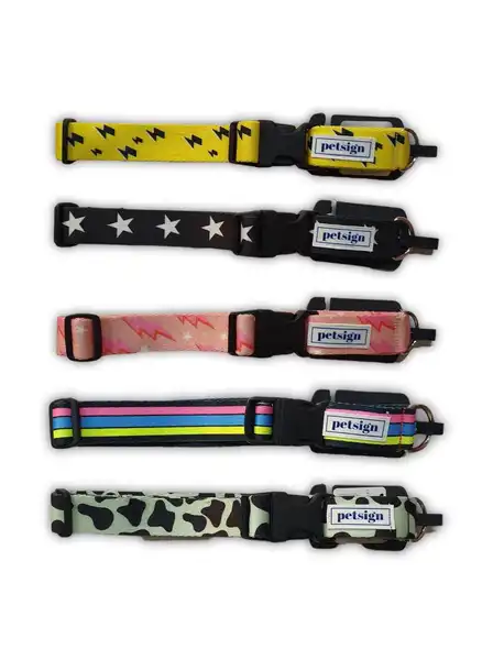 PETSIGN COLLAR 25MM FRIDA TALLE M 