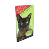 ZOOTEC HIERBA PARA GATOS SOBRE 80GRS
