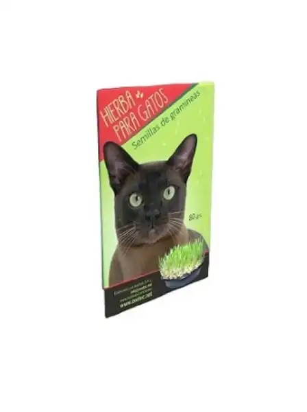 ZOOTEC HIERBA PARA GATOS SOBRE 80GRS