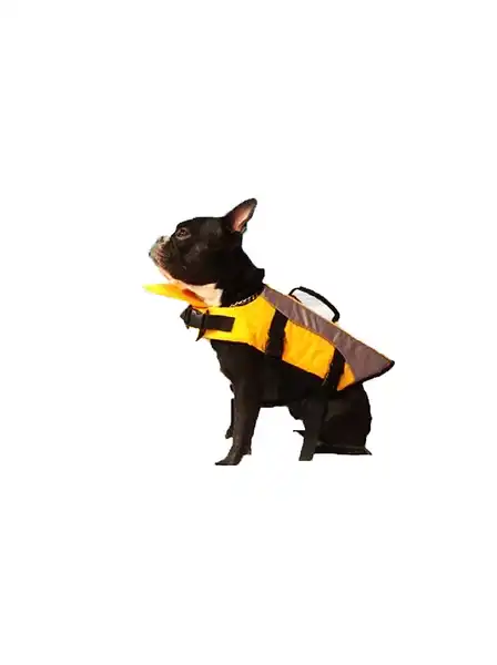 PER-ROS CHALECO SALVAVIDAS S 26 CM - 