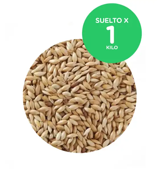 CEREALES ALPISTE 1KG 