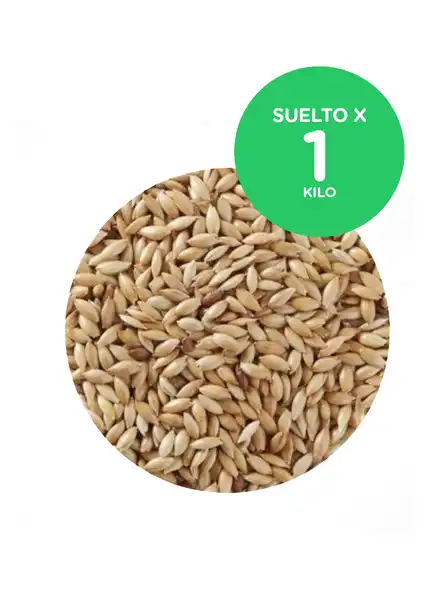 CEREALES ALPISTE 1KG 