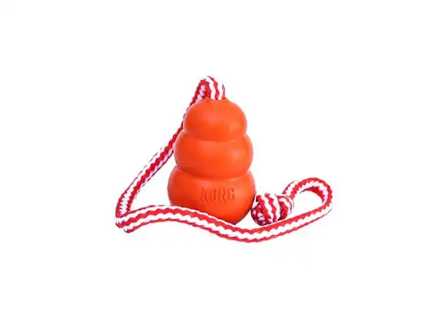 TETRA KONG AQUA LARGE CK1