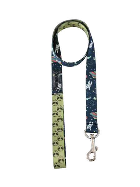 PETTIQUE CORREA GALAXY