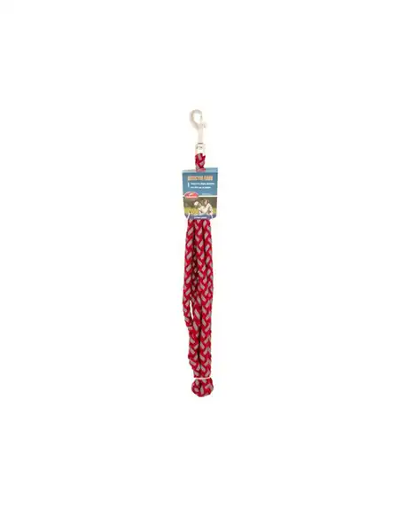 PETNATION CORREA REFLECTIVE MEDIUM ROJA