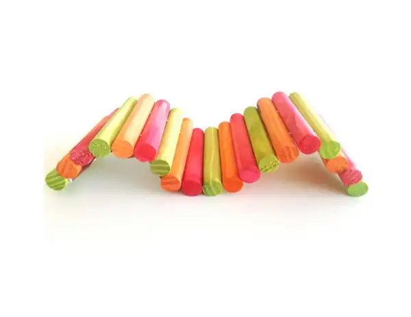 ZOOTEC TUNEL GRANDE 13 X 40 CM