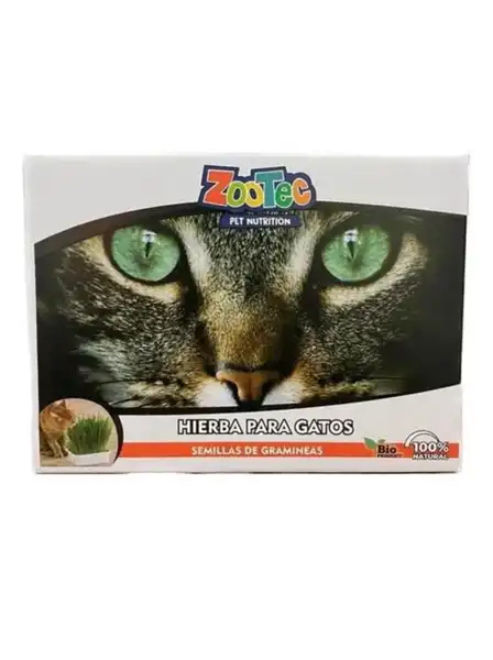 ZOOTEC HIERBA PARA GATOS LISTA PARA USAR BANDEJA