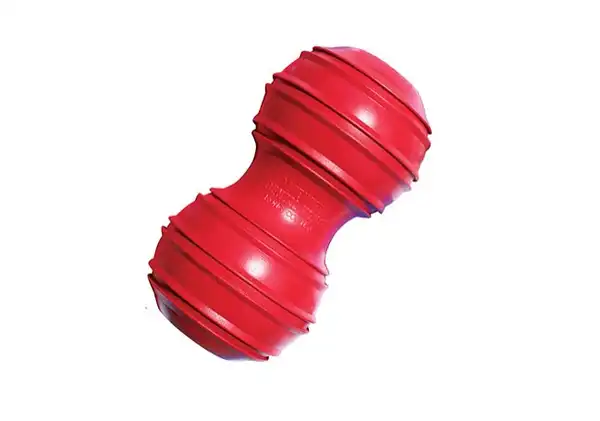 KONG DENTAL LARGE DK1 
