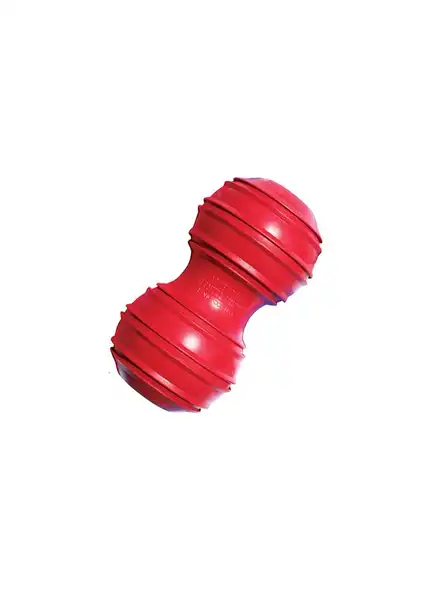 KONG DENTAL LARGE DK1 