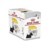 ROYAL DERMACOMFORT POUCH 85GRS (CAJA X 12 UNIDADES)