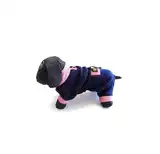 MISTER HUESO JOGGING POLAR LARGE