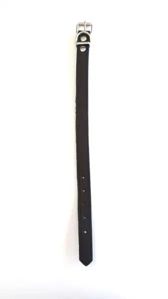 DM COLLAR 2,5CM X 60 CM
