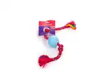 PETSPLAST PELOTA DE GOMA CHICA CON SOGA ALPINA