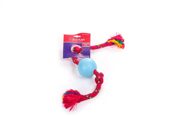 PETSPLAST PELOTA DE GOMA CHICA CON SOGA ALPINA
