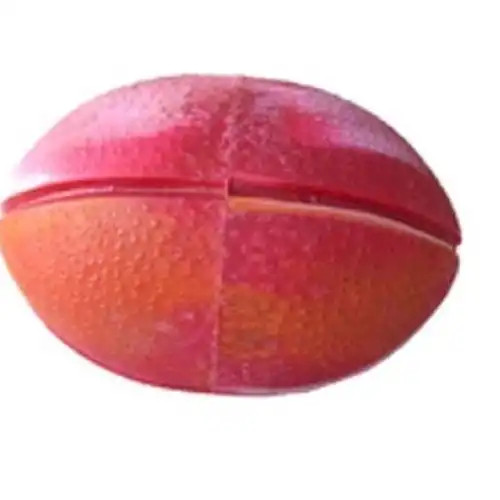 ROTAMEC PELOTA MASCOTA RUGBY