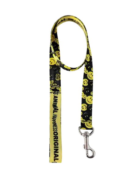 PETTIQUE CORREA HAPPINESS