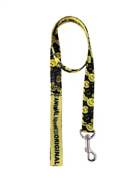 PETTIQUE CORREA HAPPINESS