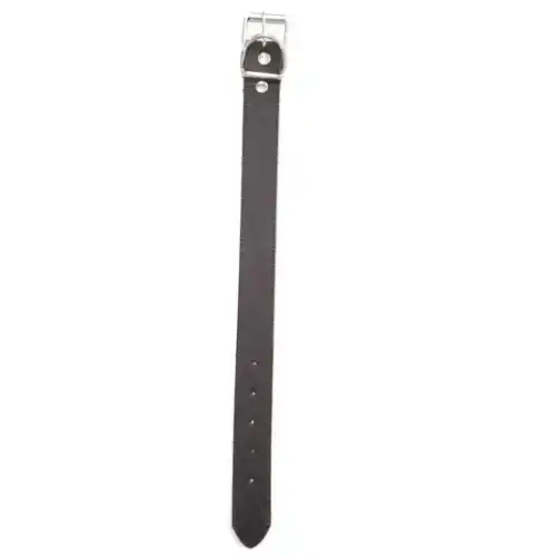 DM COLLAR 3.5CM X 45 CM