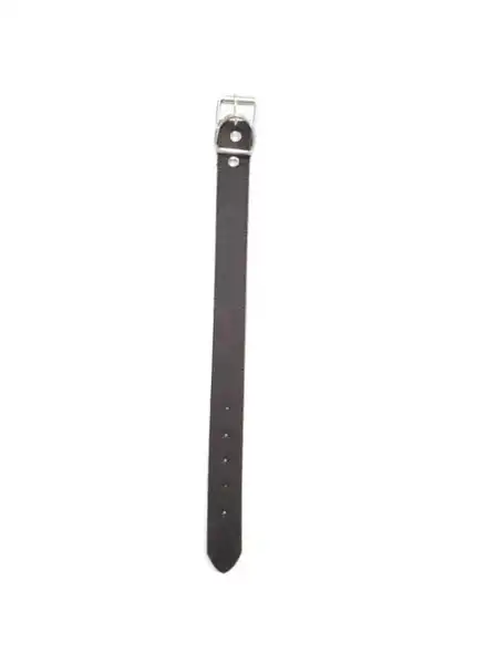 DM COLLAR 3.5CM X 45 CM