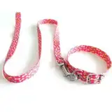 MISTER HUESO Conj. Collar Medio 45cm. Y Correa Media 120cm.