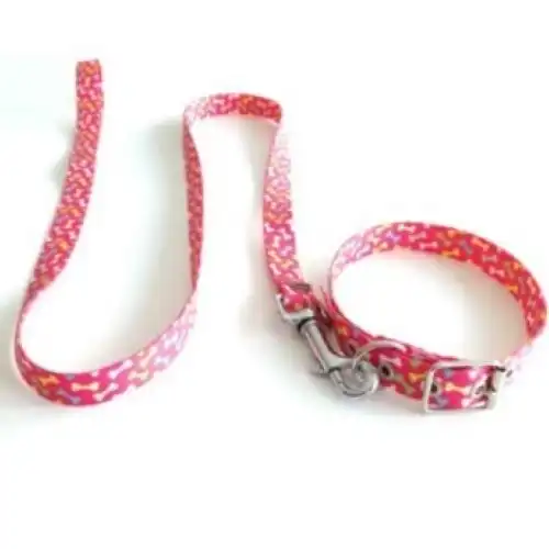 MISTER HUESO Conj. Collar Medio 45cm. Y Correa Media 120cm.