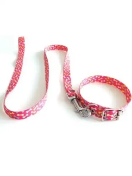 MISTER HUESO Conj. Collar Medio 45cm. Y Correa Media 120cm.