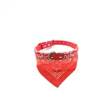 PER-ROS COLLAR C/PAÑUELO DE TELA CHICO 1.5 X 41CM - 