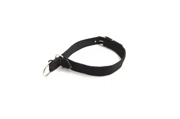 MISTER HUESO COLLAR NYLON SEMIAHORQUE ANCHO 68X3CM