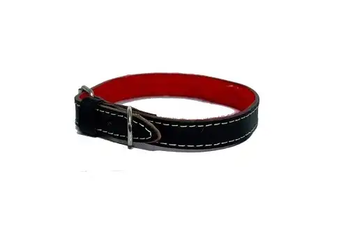 KIPPER COLLAR DE CUERO CON FELPA Nº3 