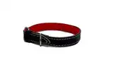 KIPPER COLLAR DE CUERO CON FELPA Nº2