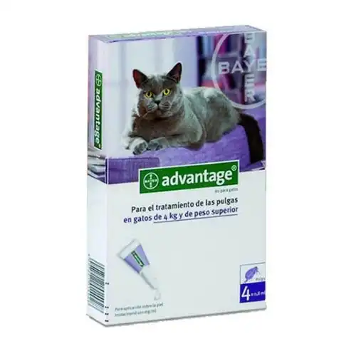 BAYER  ADVANTAGE GATO 4 A 8KG