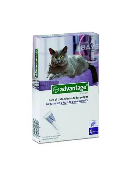 BAYER  ADVANTAGE GATO 4 A 8KG