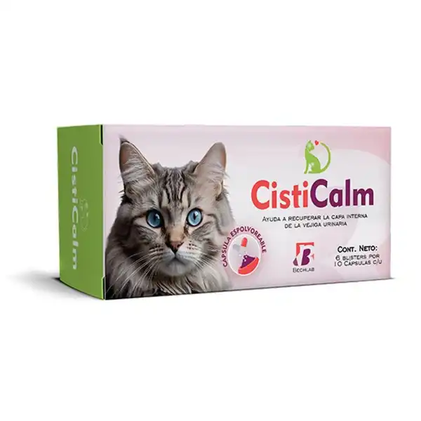 BECHLAB CISTICALM CAJA X 60 CAPSULAS (BLISTER X 10) (D1)