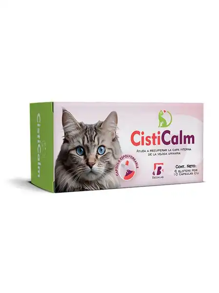 BECHLAB CISTICALM CAJA X 60 CAPSULAS (BLISTER X 10) (D1)