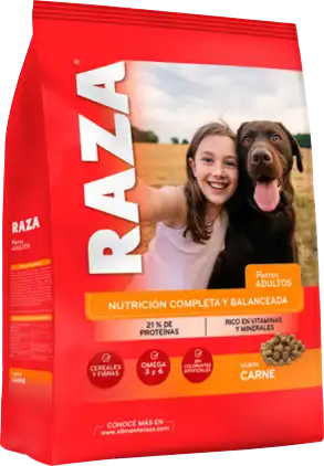RAZA PERROS SABOR CARNE 15KG