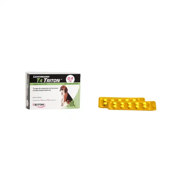 TRITON T 4 0.4 MG X 100 COMP. (BLISTER X 10 COMP)