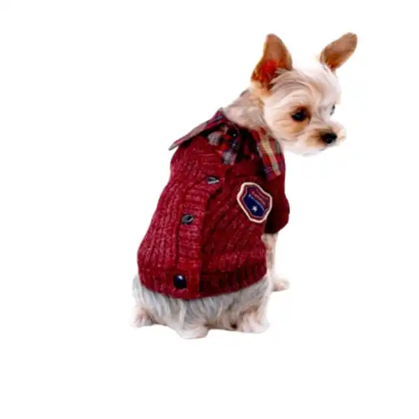 PER-ROS SWEATER CON CAMISA XXL 