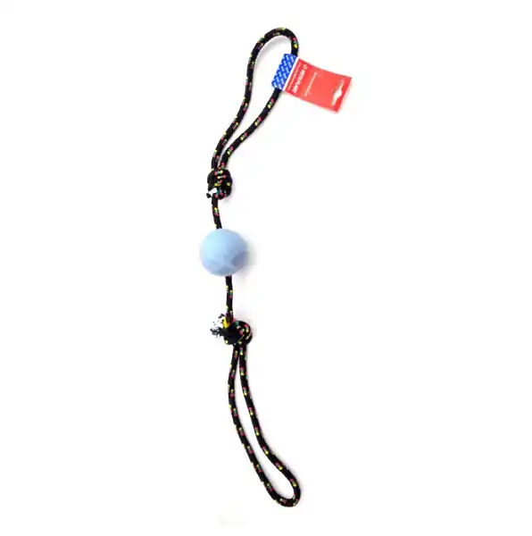 PETSPLAST PELOTA DE GOMA MEDIANA CON SOGA ALPINA