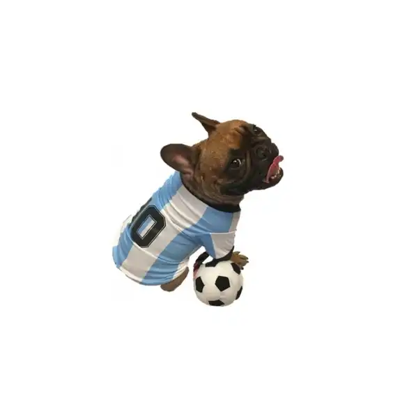 PER-ROS CAMISETA DE ARGENTINA Nº6 50 CM.- 