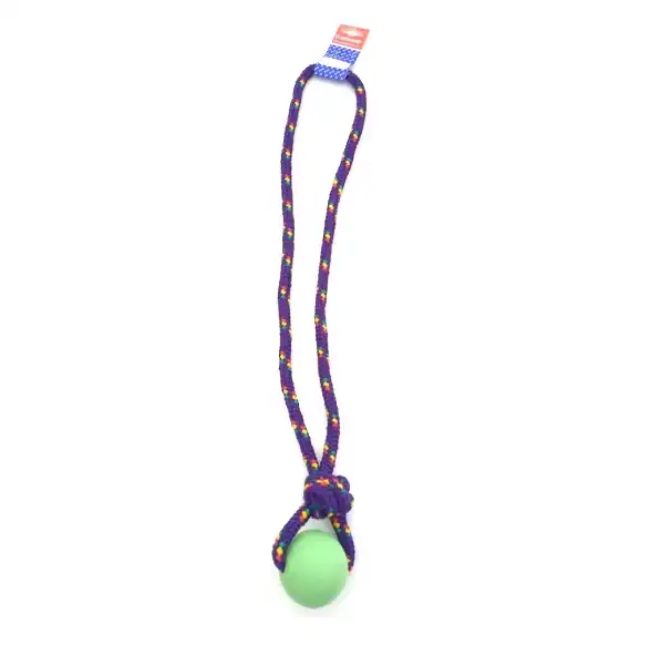 PETSPLAST PELOTA DE GOMA GRANDE SOGA ALPINA 12MMX65CM S504