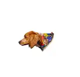 PER-ROS PAÑUELO PARA PERROS CHICO - 