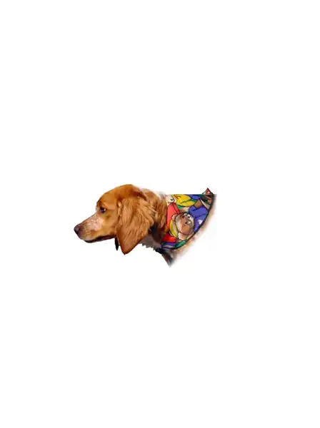 PER-ROS PAÑUELO PARA PERROS CHICO - 
