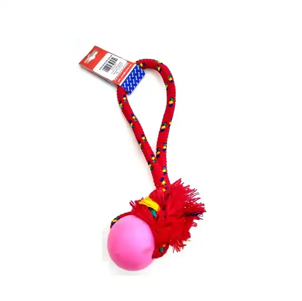 PETSPLAST PELOTA DE GOMA MEDIANA SOGA ALPINA 12MMX30CM S403