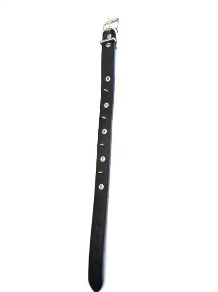 DM COLLAR CON PUAS 2.5CM X 75CM