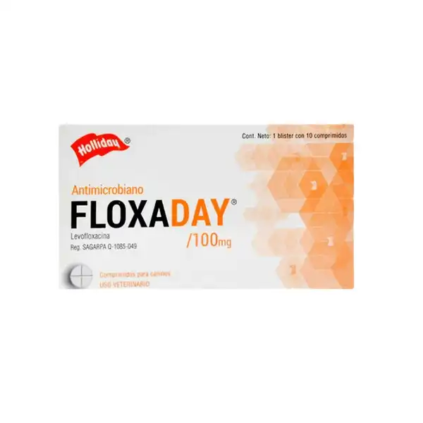HOLLIDAY FLOXADAY 100 MG X 10 COMP